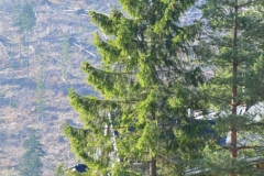 koscielisko-residence-12