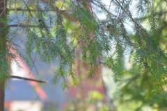 koscielisko-residence-17