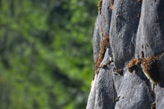 koscielisko-residence-18