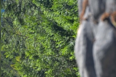 koscielisko-residence-19