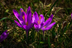 koscielisko-residence-25