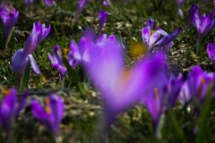 koscielisko-residence-26