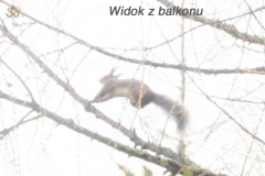 koscielisko-residence-29