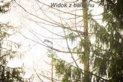 koscielisko-residence-30