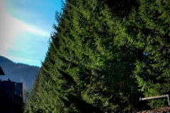 koscielisko-residence-7