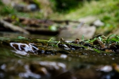 grill-koscielisko-residence-12