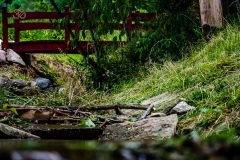 grill-koscielisko-residence-13